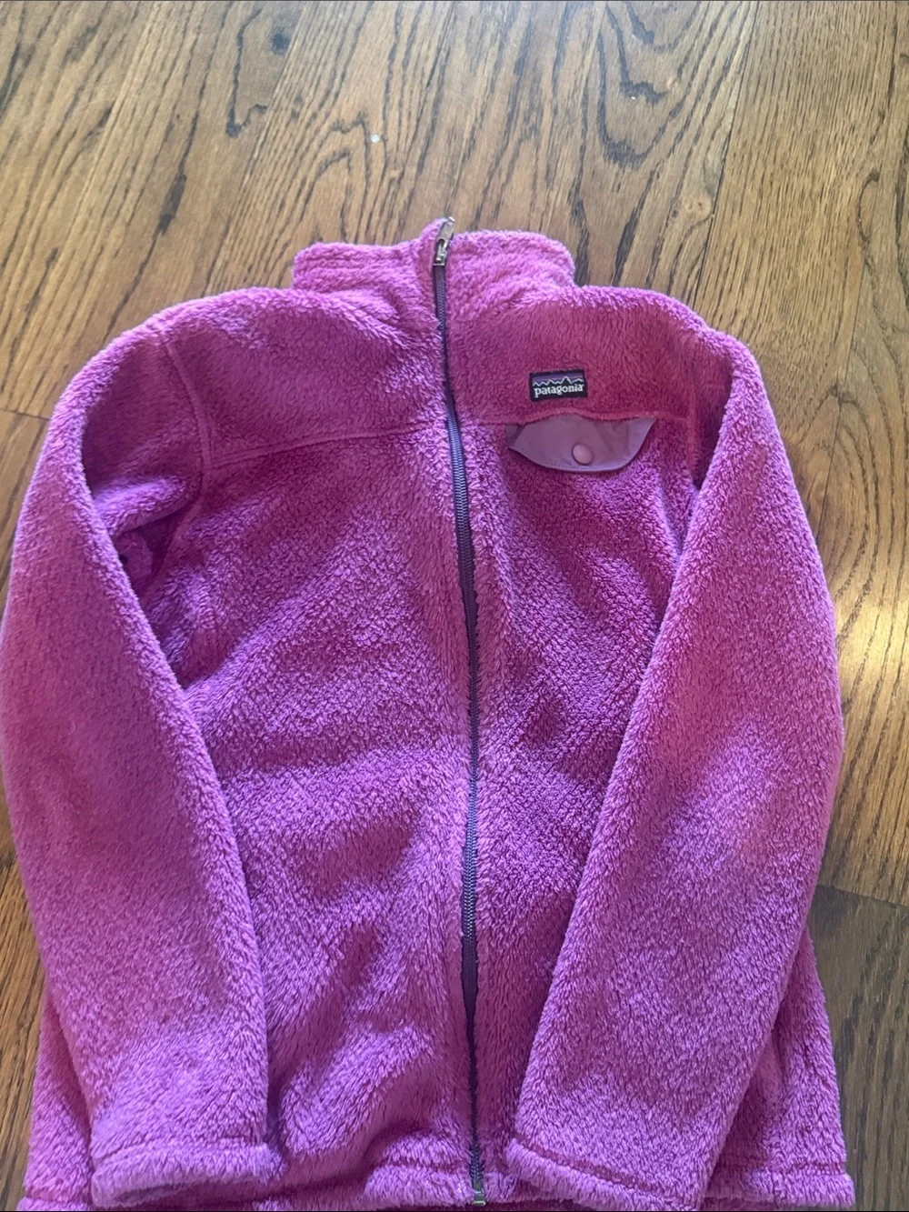 Patagonia Kids Pink Fleece Jacket